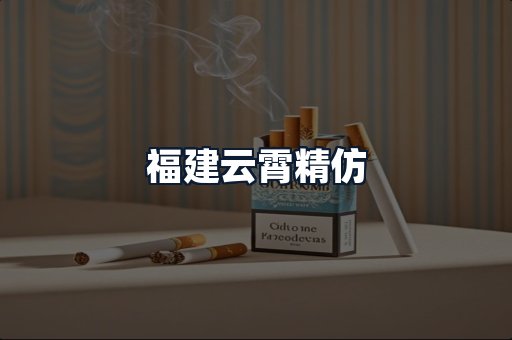 福建云霄精仿
